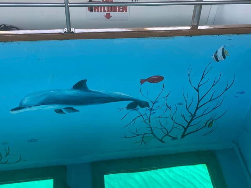 Paphos: Glass Bottom Boat Trip with Swimming or Snorkeling - Authentic Feedback from Travelers