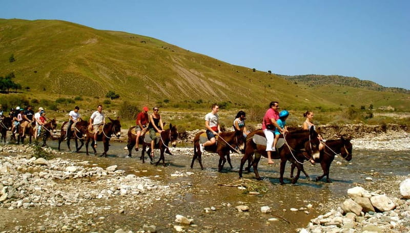 Paphos/Limassol: Donkey Farm Day Trip with Lunch & Tastings - Tasting Cyprus: Food, Wine, and Spirits