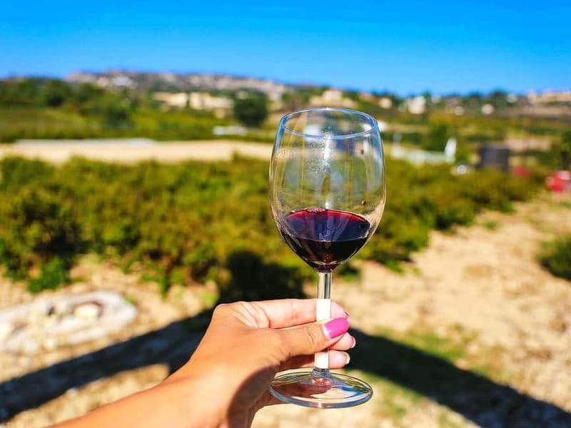 Paphos: Local Wineries Tour with Wine Tastings - Final Thoughts
