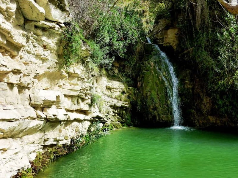 Paphos: Private Jeep Bath of Aphrodite including Waterfalls - Starting the Day: Seamless Pickup and Personal Touch