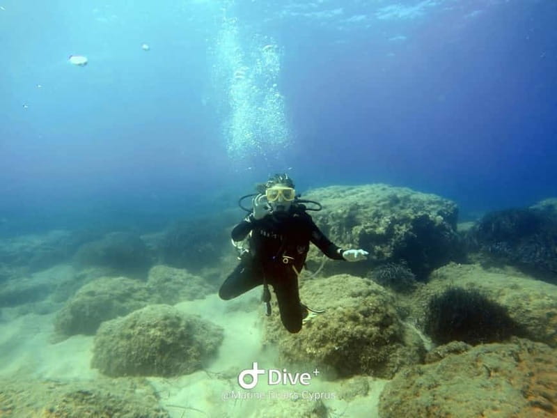 Paphos: Professional Dive Experience PADI British Instructor - Exploring the Experience Step-by-Step