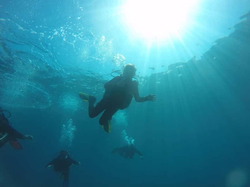 Paphos: Professional Dive Experience PADI British Instructor - Price and Value