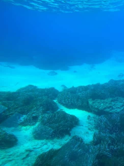 Paphos: Sunset Cruise, Turtle Watching, & Unlimited Drinks - FAQ