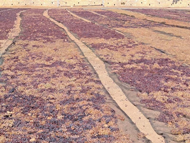 Paphos - Troodos mountains: To the highest peaks. - The Off-Road Experience and Transportation