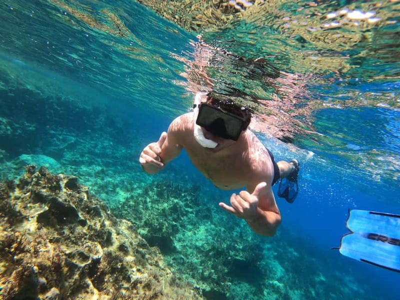 Paphos: Turtle-Watching Snorkeling Sea Scooter Trip - Discovering the Paphos Turtle-Watching Snorkeling Sea Scooter Trip