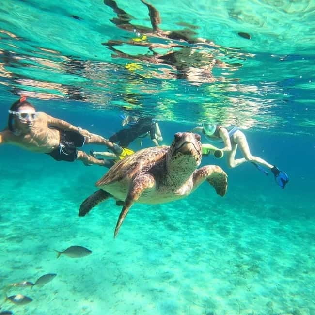 Paphos: Turtle-Watching Snorkeling Sea Scooter Trip - The Logistics: Planning Your Trip