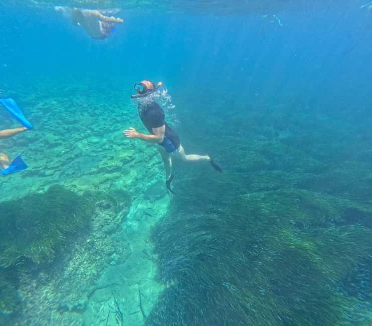 Paphos: Turtle-Watching Snorkeling Sea Scooter Trip - Frequently Asked Questions