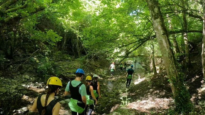 Papigo Zagori: Nefeli Gorge Canyoning - Price and Logistics