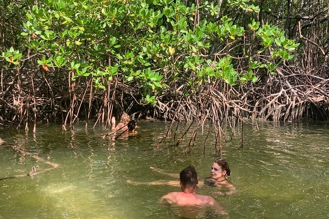 Paradise Island Cruise Snorkeling Excursion - Highlights of the Excursion