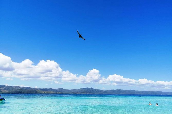 Paradise Island & Mangroves Tour - Included in Tour