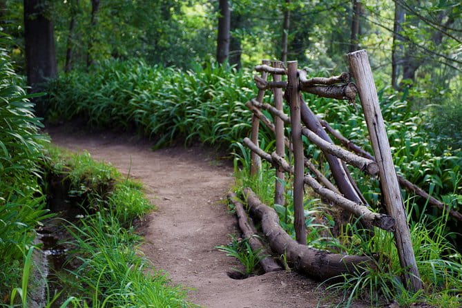 Paradise Valley Beauty Walk - Key Points / Takeaways