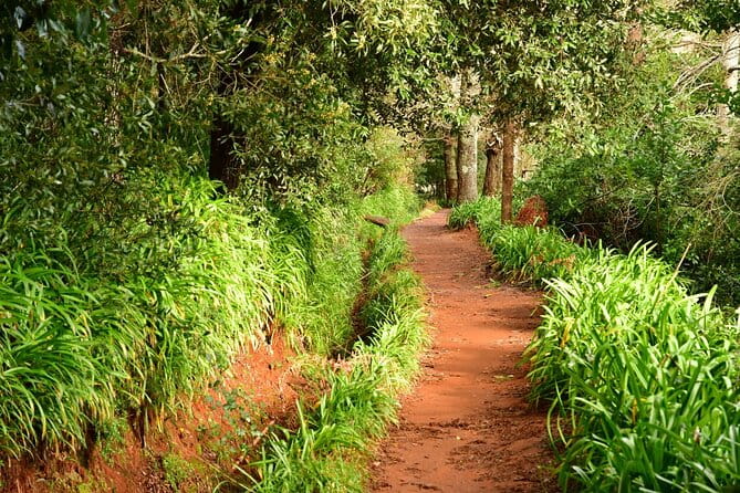 Paradise Valley Madeira Island Walk - Introduction: A Relaxed Stroll Through Madeira’s Countryside