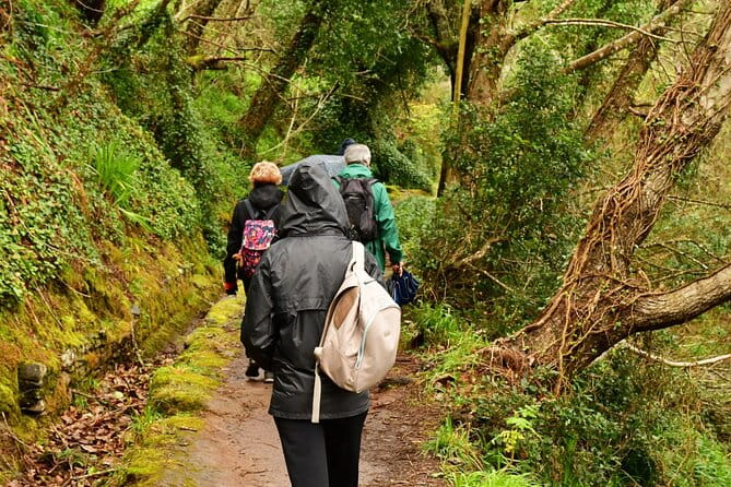 Paradise Valley Madeira Island Walk - Discovering the Charm of the Levada da Serra do Faial to Vale Paraíso and Rochão