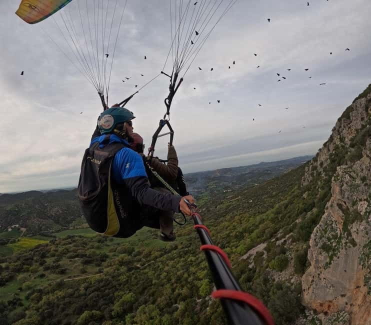 Paragliding: near Ronda (Málaga) - Price and Logistics: What You Need to Know