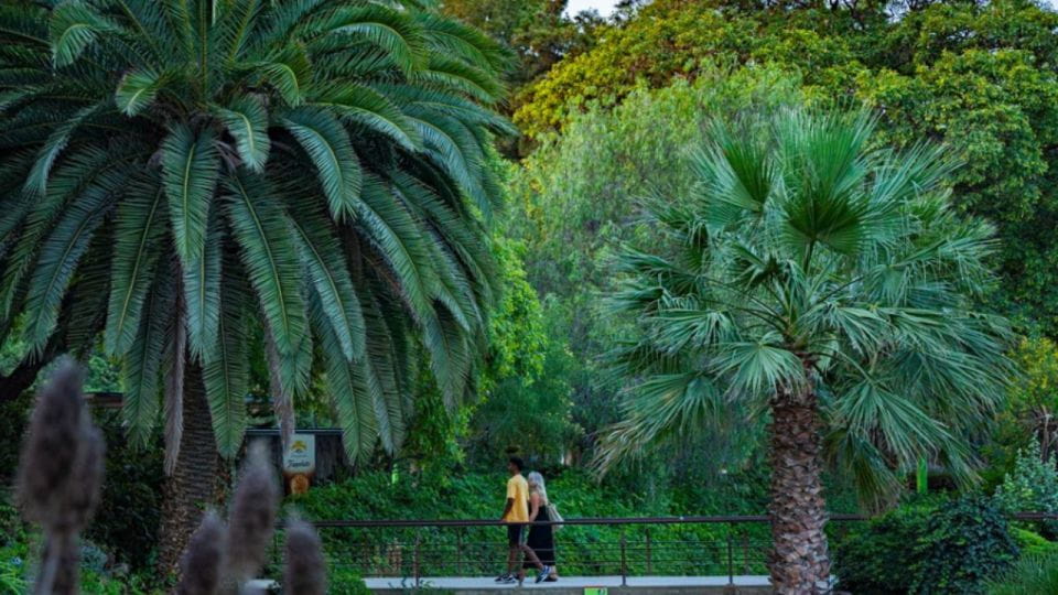 Parc De La Ciutadella: Photography Workshop+Tapa & Wine - Itinerary Highlights