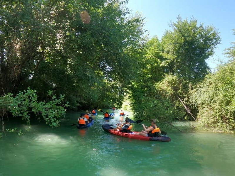 Parga: Acheron River Kayaking Adventure 5.5 km - An In-Depth Look at the Acheron River Kayaking Tour