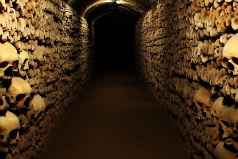 Paris: Catacombs, Audio Guide, and River Cruise Option - Who Should Consider This Tour?