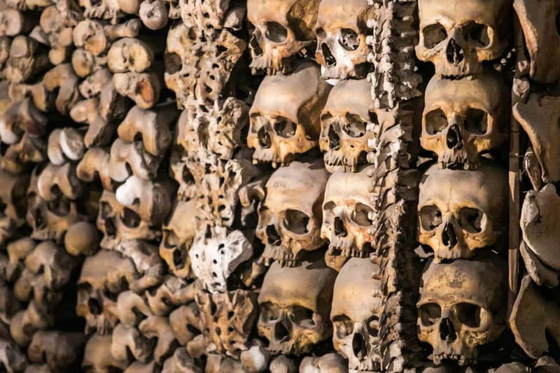 Paris: Catacombs Guided Tour - Walking Into the Haunting World of Bones