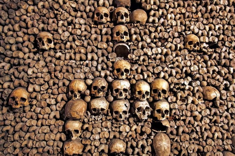 Paris Catacombs Skip-the-Line Guided Tour and Special Access - Price & Value Analysis