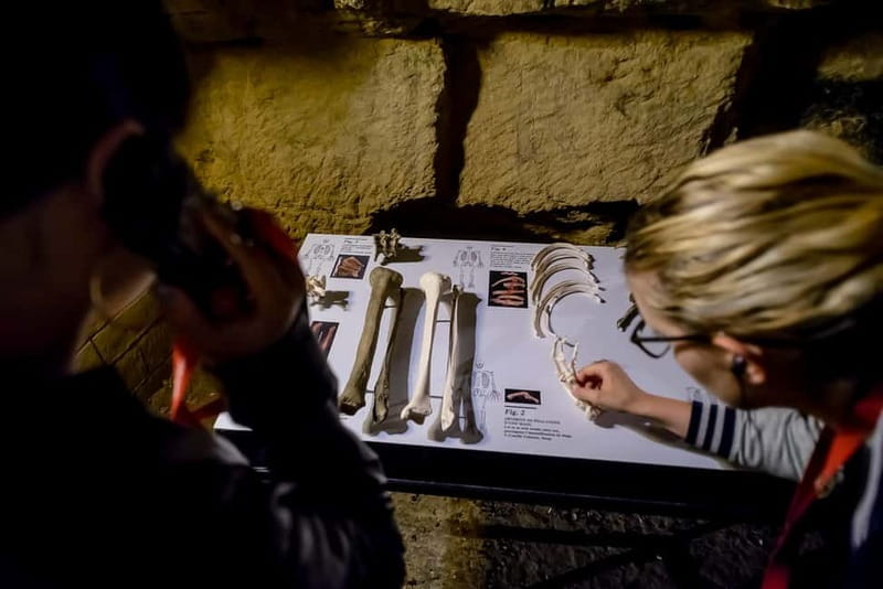 Paris: Catacombs Ticket and Audio Guide - Who Should Consider This Tour?