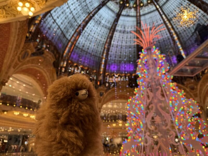 Paris: Christmas Private City Tour by Car - Final Thoughts