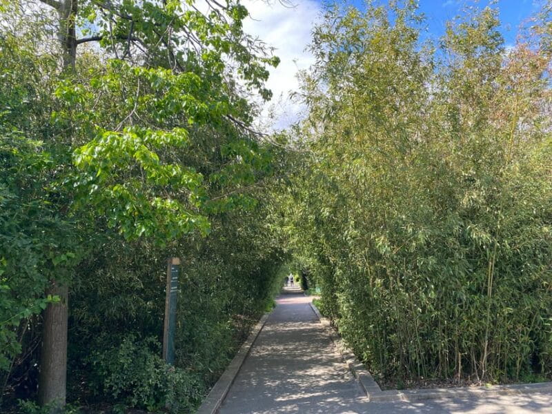 Paris Off the Beaten Path - Treasure Hunt along Coulée Verte - Price and Logistics: How It Fits in Your Trip