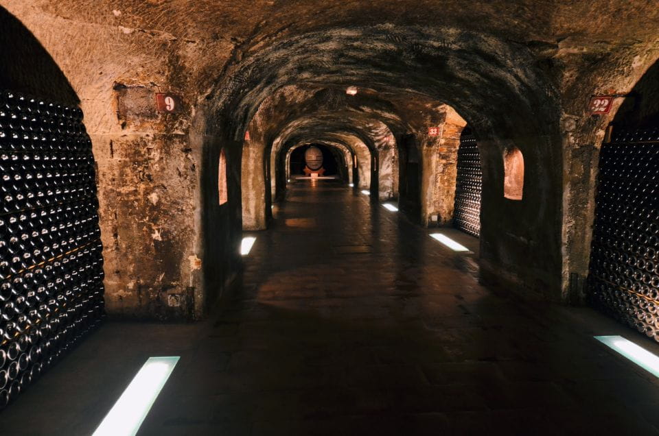 Paris: Private Day Trip to Champagne With 8 Tastings & Lunch - Savoring Champagne-Paired Lunch