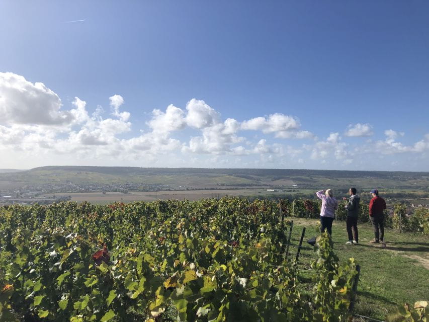 Paris: Private Day Trip to Champagne With 8 Tastings & Lunch - Strolling the Avenue De Champagne