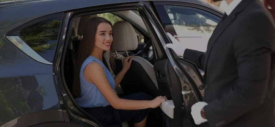 Paris: Private Transfer to or From Disneyland - Professional and Courteous Drivers