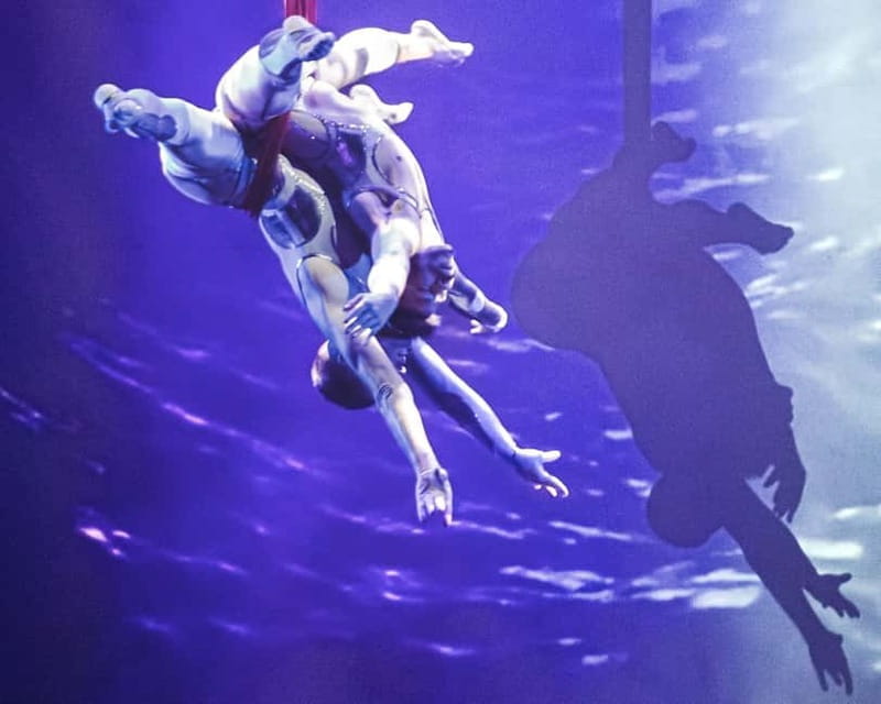 Paris: The cabaret show that awakens the senses - Key Points / Takeaways