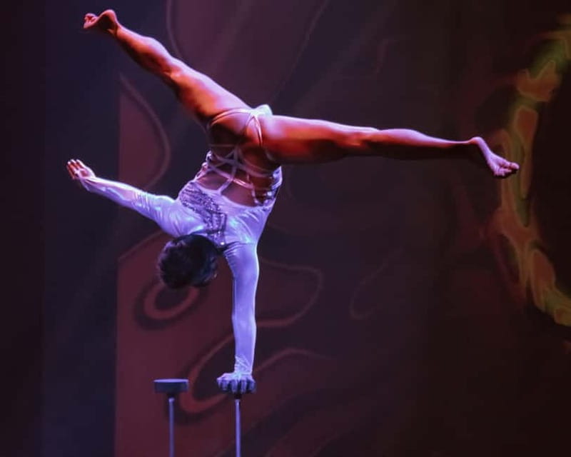 Paris: The cabaret show that awakens the senses - Who Is This Best For?