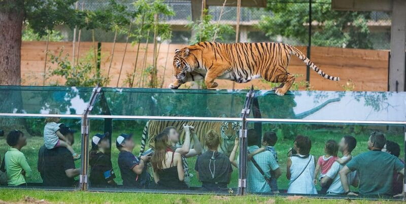 Paris: Thoiry Castle and Safari Park Private Tour - Key points / Takeaways