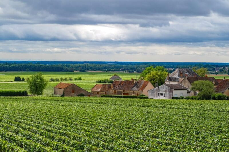 Paris VIP: Burgundy Wine Region Chauffeur Driven Tour 14 hrs - Exploring the Burgundy Region in Style: A Full Breakdown