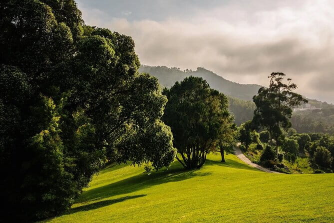 Park and Palace of Monserrate - Key points/Takeaways