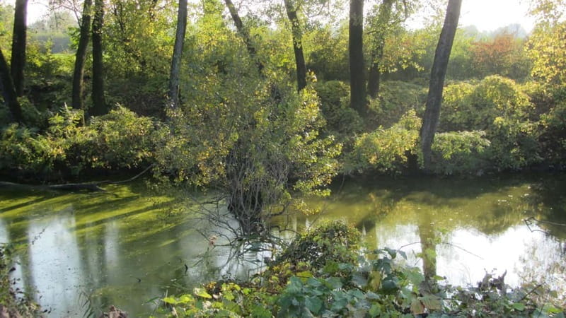 Parma: Food Valley Ebike Tour with Guide and Tasting - Key Points / Takeaways