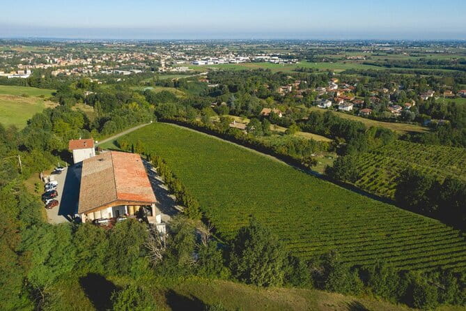 Parma Hills and Wine Tasting with Food Platter - Final Thoughts