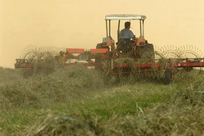Parma Hillside Private Food Tour and Tasting - The Sum Up