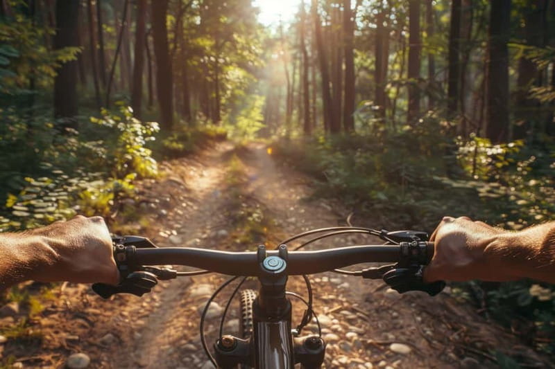 Parma or 5 Terre: E-Bike Tour w/ Parmigiano and Ham Dinner - Why You Should Consider This Experience