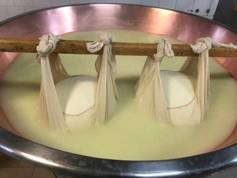 Parma: Parmigiano Production and Parma Ham Tour & Tasting - Final Thoughts