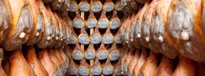 Parma: Parmigiano, Prosciutto, and Coffee Tour with Tasting - FAQ