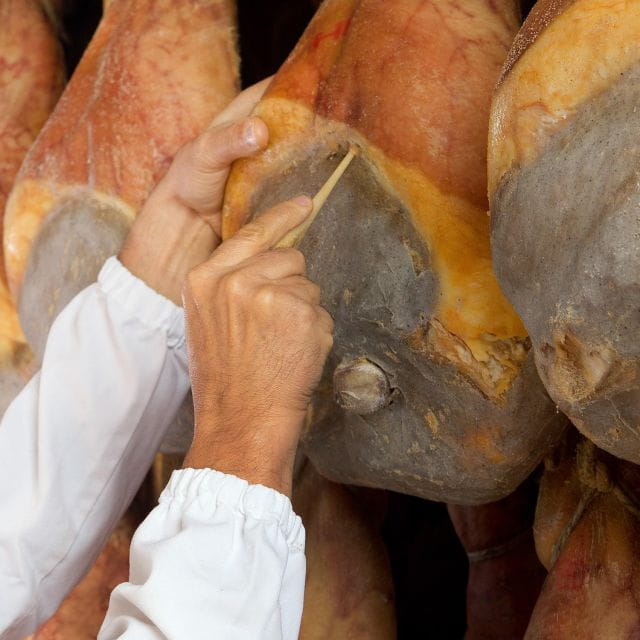 Parma: Prosciutto di Parma Tour - Key Points / Takeaways