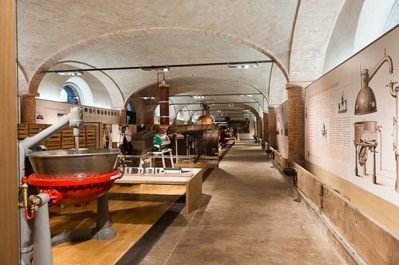 Parma: Tomato Museum Ticket with Optional Tasting - The Optional Tasting Experience