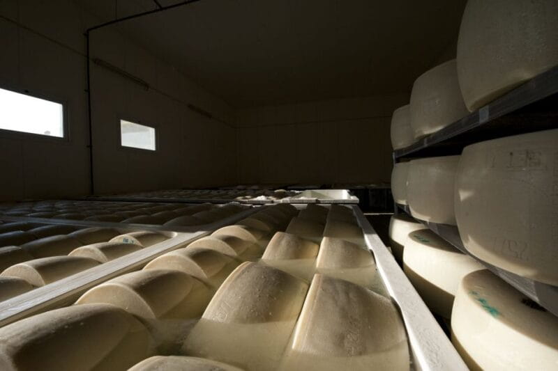 Parma: Traditional Cheese Factory Visit with Tasting - Frequently Asked Questions