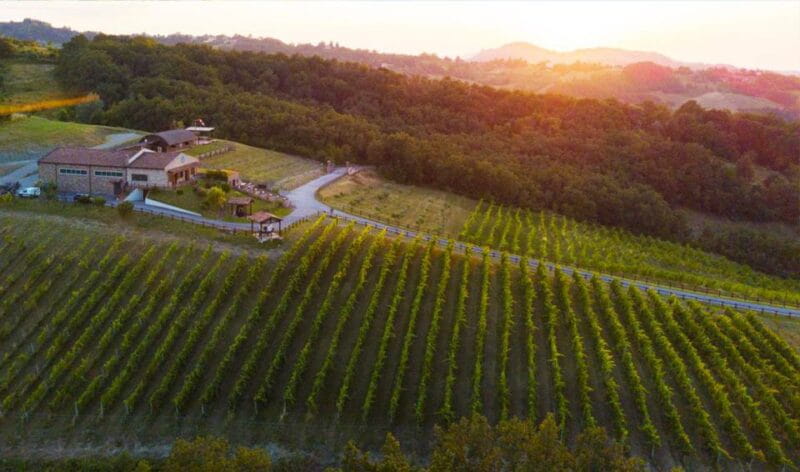 Parma: Winery Tour and tasting - Key Points / Takeaways