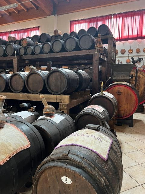 Parmesan and Balsamic Food Tour with Ferrari Museum - Final Thoughts