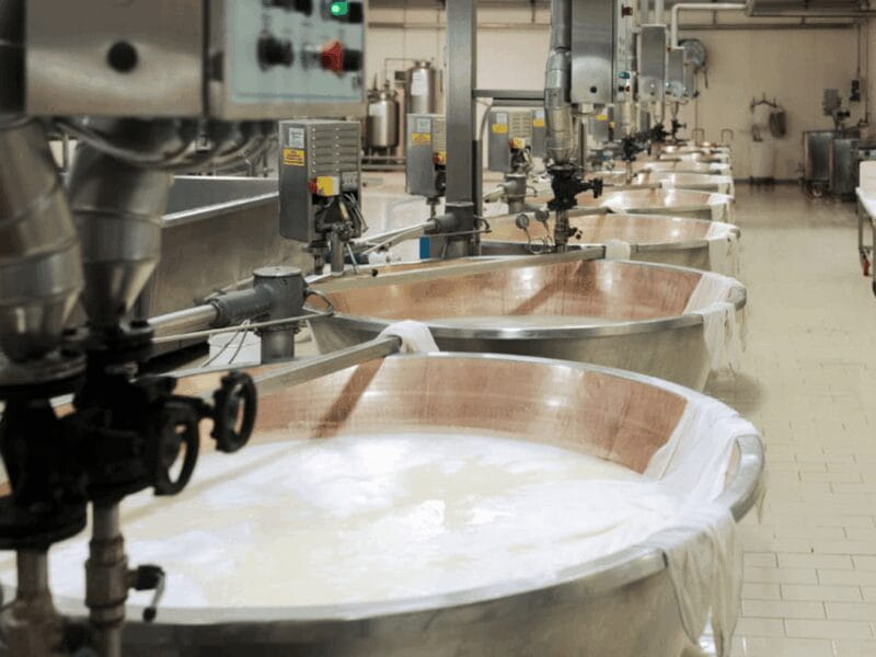 Parmesan Cheese Factory Tour & Tasting near Parma - Who Will Love This Experience?