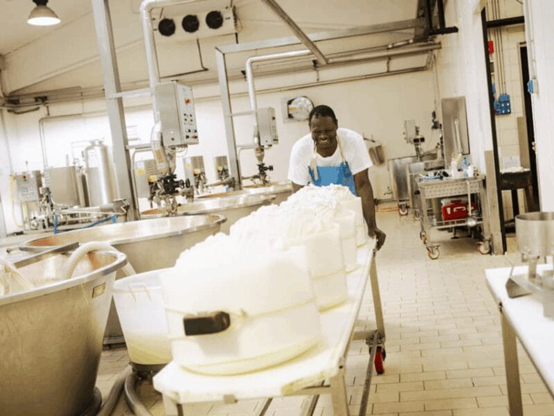 Parmesan Cheese Factory Tour & Tasting near Parma - Final Thoughts: Is This Tour Right for You?