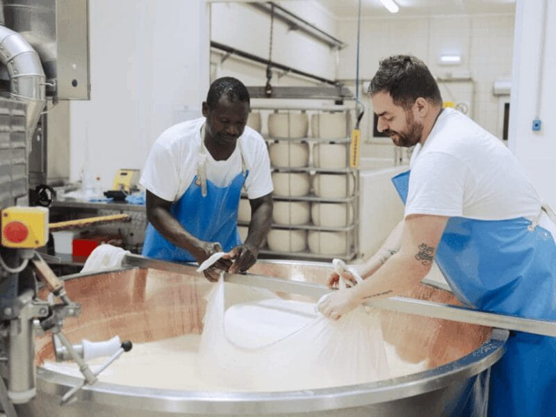 Parmesan Cheese Factory Tour & Tasting near Parma - Final Words