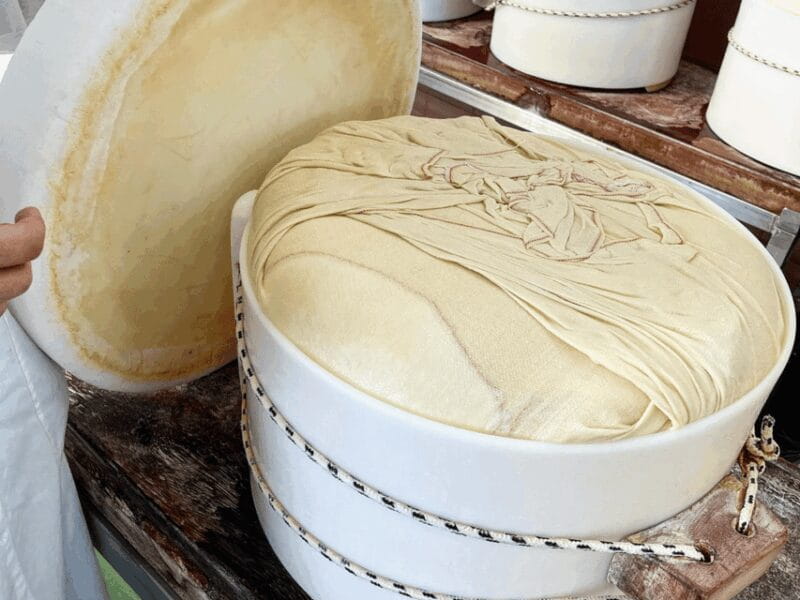 Parmesan Cheese Tour & Tasting near Modena - Who Will Appreciate This Tour?