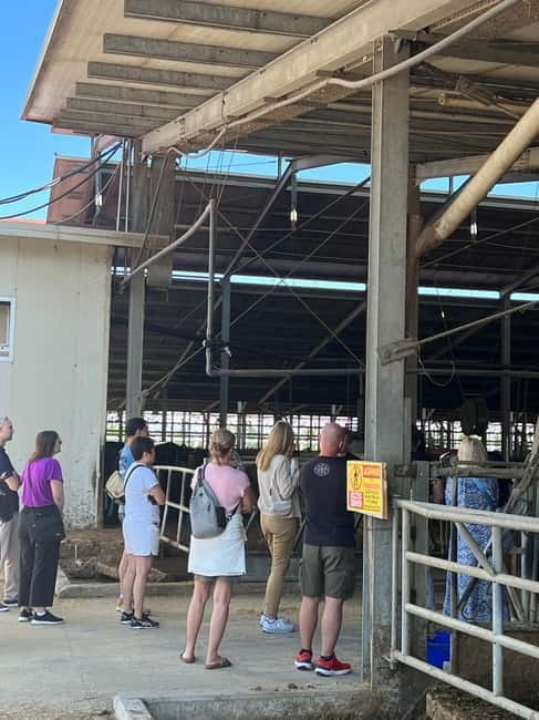 Parmesan, Wine, Balsamic Full Day Tour with Lunch - Why This Tour Offers Great Value